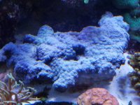 20180308_232558.jpg