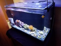 20170221_132411.jpg