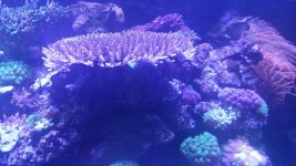 20180602_132251.jpg