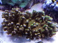 20180308_232552.jpg