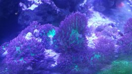 20180602_132316.jpg