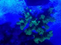20161206_193751.jpg