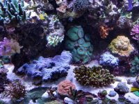 20180310_235458.jpg