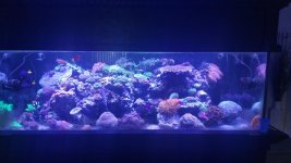 20180602_132417.jpg