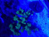 20161206_193710.jpg