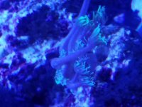 20161206_185020.jpg