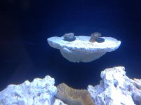 IMG_4809.jpg