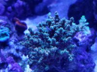20170418_153623.jpg