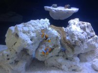 IMG_4816.jpg