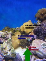 20170920_231641.jpg