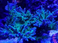 20170418_153547.jpg