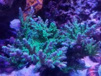 20170421_153609.jpg
