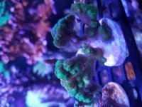 20170703_162727.jpg