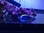 501DDAA3-DD81-4E00-AC5F-8076777CE1BD.jpg