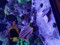 20170117_182314.jpg