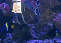 IMG_0120.jpg