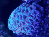 20170703_162624.jpg