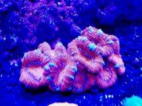 20170612_172733.jpg