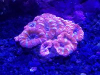 20170703_162544.jpg