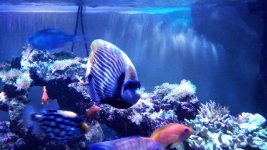 IMG_20171220_180130.jpg