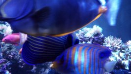 IMG_20171220_180137.jpg