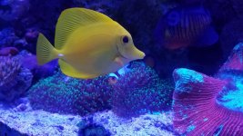 20170704_134540.jpg