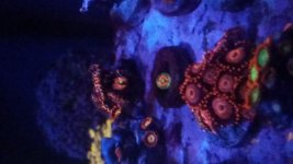 20161017_184145.jpg