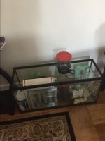tank2.jpg