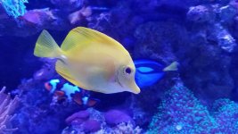 20170704_133508.jpg