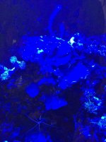 IMG_3559.jpg IMG_3559.jpg