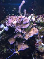 IMG_3564.jpg IMG_3564.jpg
