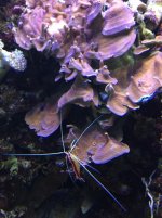 IMG_3565.jpg IMG_3565.jpg