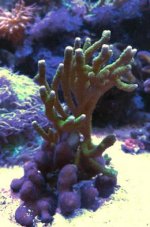 IMG_8351.jpg