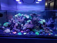 20170814_171904.jpg