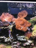 IMG_0023.jpg