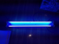 20180603_194040.jpg