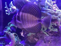IMG_0697.jpg