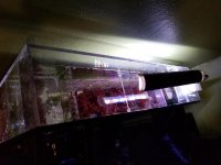 20171221_090434.jpg