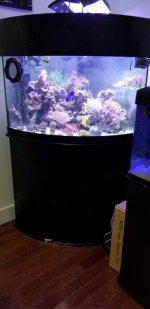 IMG-20180530-WA0003.jpg