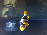 IMG_1036.jpg