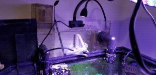 IMG-20180530-WA0002.jpg