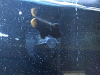 IMG_1037.jpg