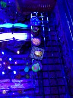IMG_0824.jpg