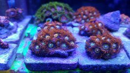 20170918_183752.jpg
