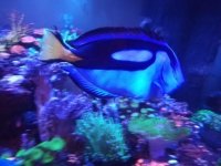 IMG_20180603_214733.jpg