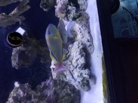20170706_182147.jpg
