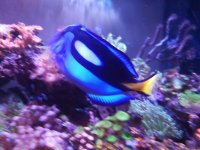 IMG_20180603_214720.jpg
