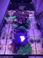 IMG_12551.jpg