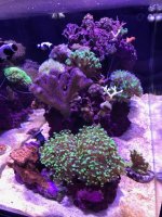IMG_12571.jpg
