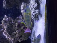 20170706_182155.jpg
